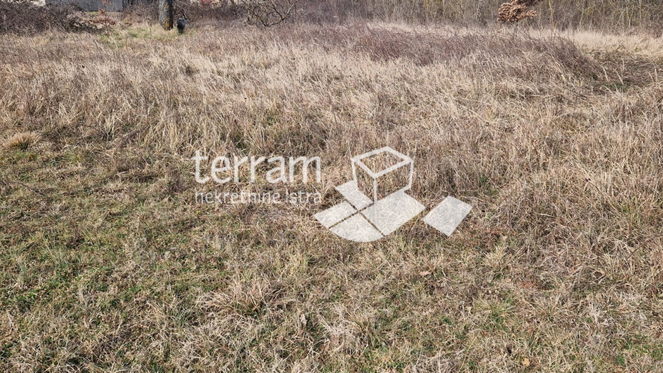 Istria, Barban, building plot 3160m2 with a building of 40m2 for sale