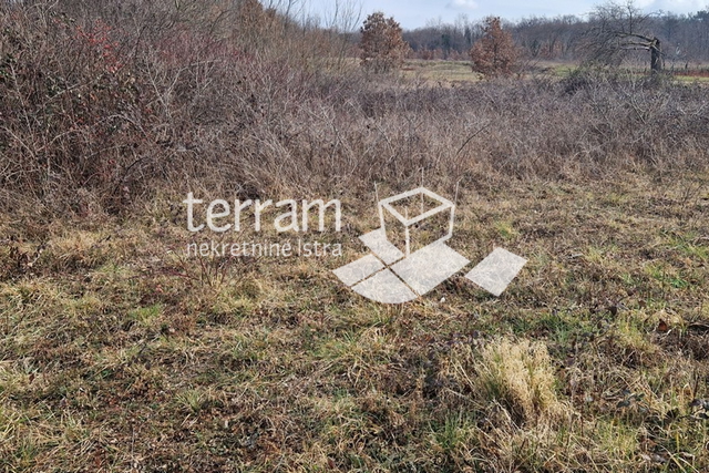 Istria, Barban, building plot 3160m2 with a building of 40m2 for sale