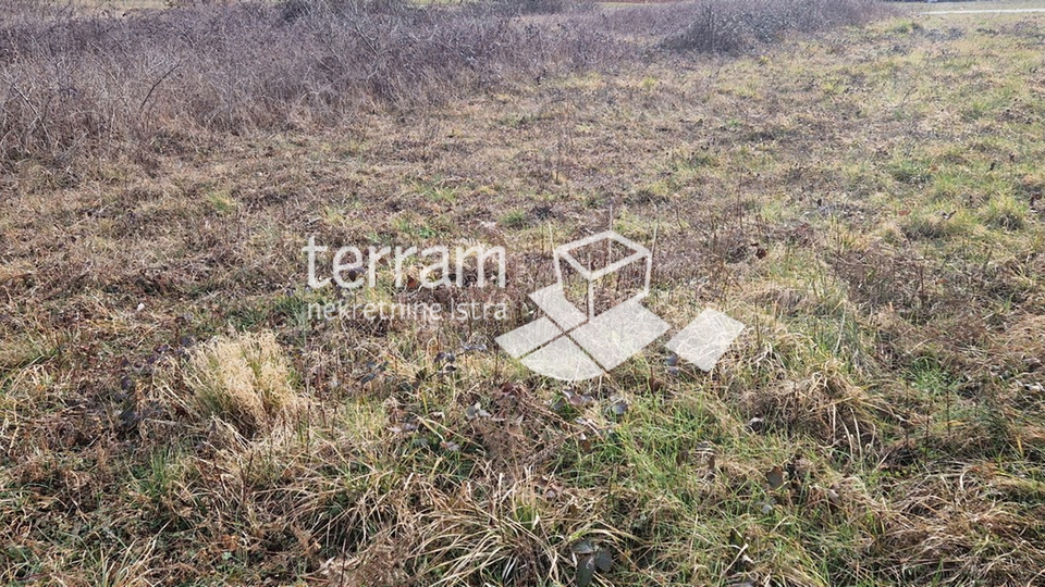 Istria, Barban, building plot 3160m2 with a building of 40m2 for sale