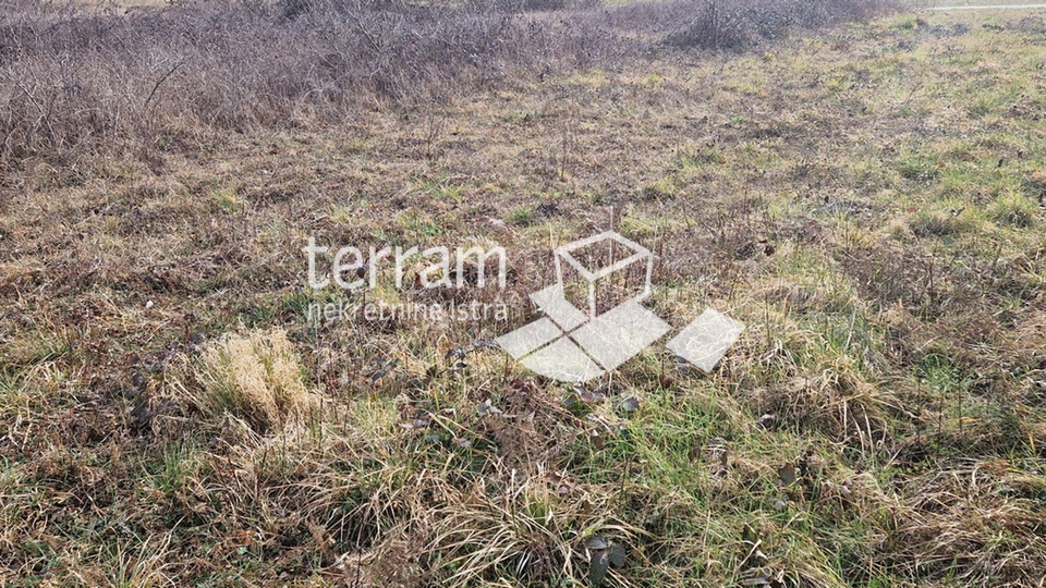 Istria, Barban, building plot 3160m2 with a building of 40m2 for sale