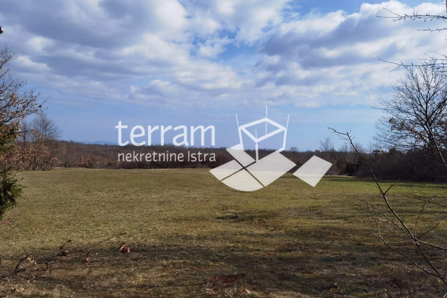 Istria, Žminj, agricultural land 59542m2, for sale