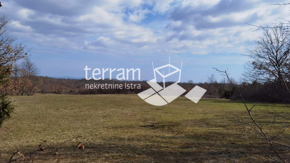 Istria, Žminj, agricultural land 59542m2, for sale