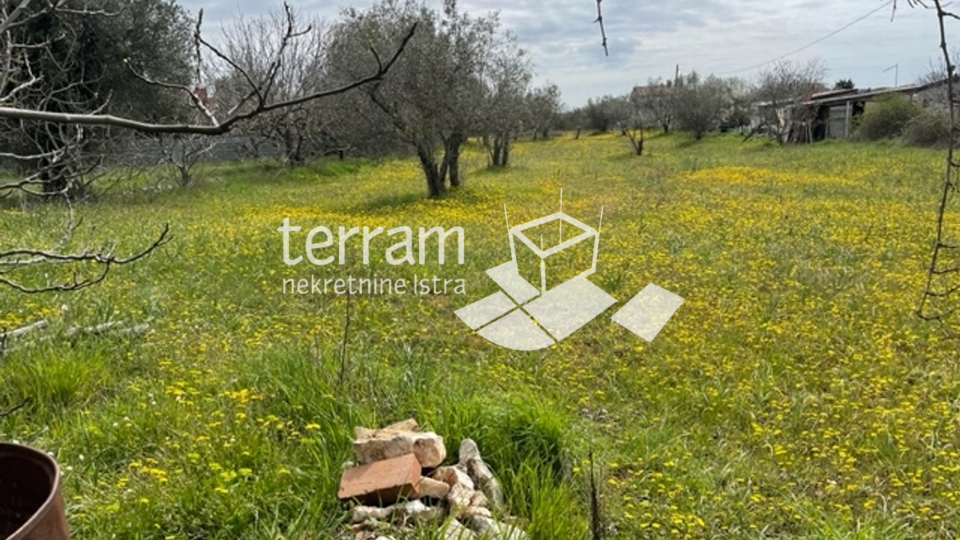 Istria, Fažana, land 3800m2 with legalized building 68m2, electricity, water! #sale