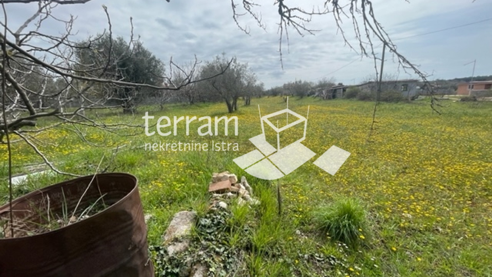 Istria, Fažana, land 3800m2 with legalized building 68m2, electricity, water! #sale