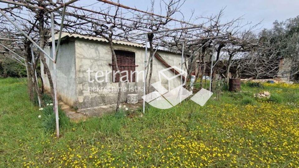 Istria, Fažana, land 3800m2 with legalized building 68m2, electricity, water! #sale