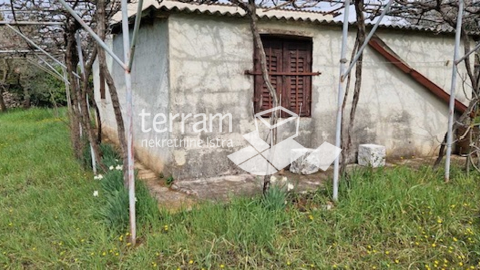 Istria, Fažana, land 3800m2 with legalized building 68m2, electricity, water! #sale