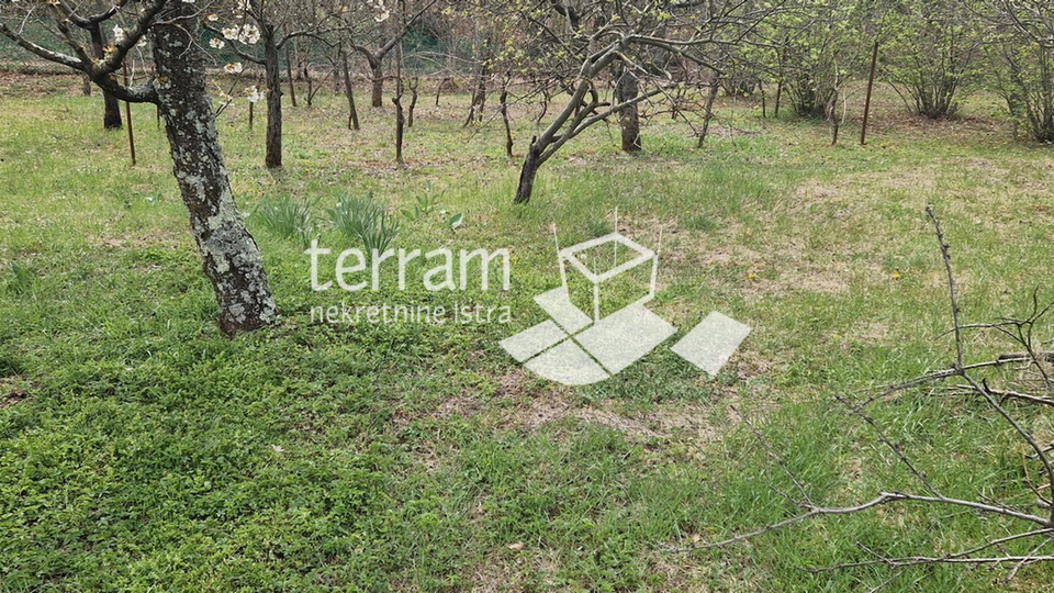 Istria, Barban, detached house 139 m2 with garden 2033 m2 for sale