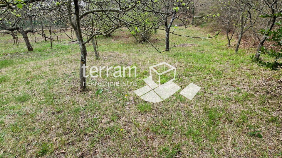 Istria, Barban, detached house 139 m2 with garden 2033 m2 for sale