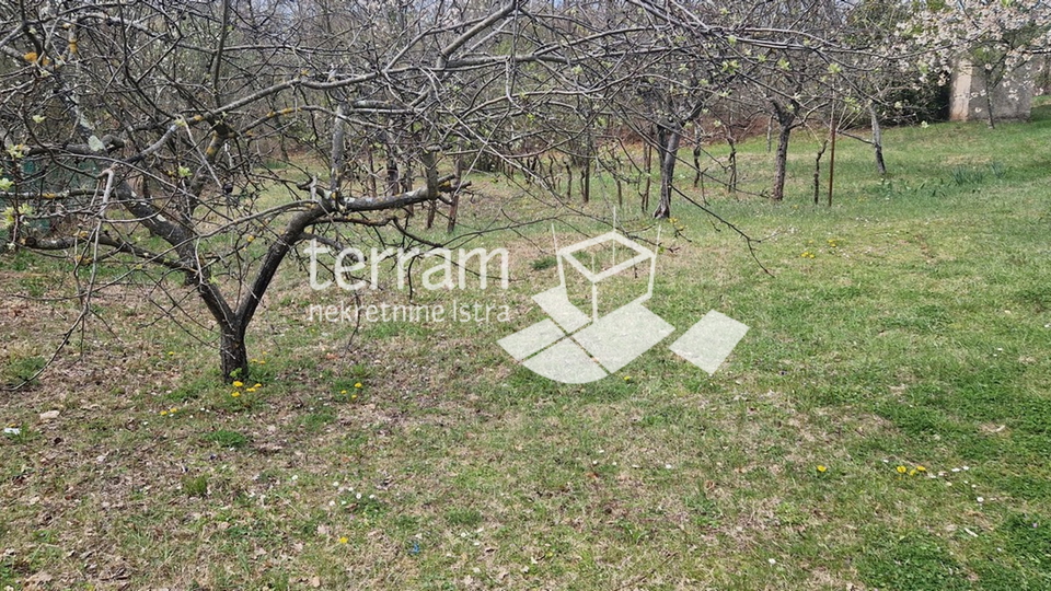 Istria, Barban, detached house 139 m2 with garden 2033 m2 for sale