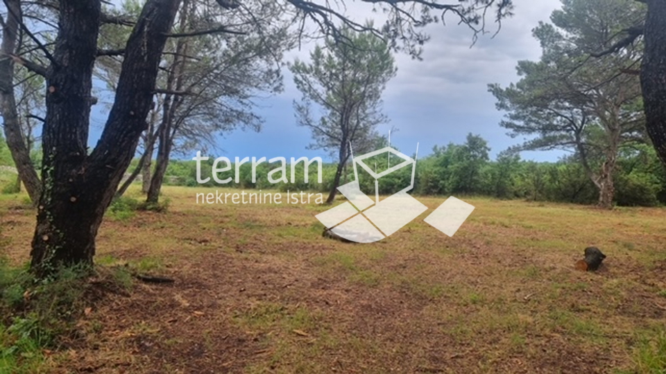 Istria, Vodnjan, agricultural land 2991m2 on the border of urbanization!! #sale