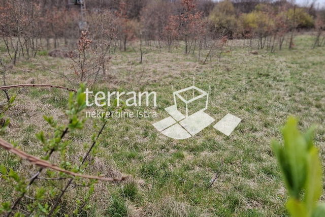 Istria, Barban, building plot 3007m2 for sale