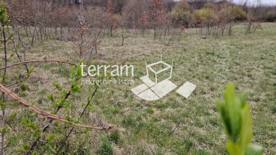 Istria, Barban, building plot 3007m2 for sale