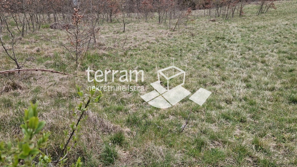 Istria, Barban, building plot 3007m2 for sale