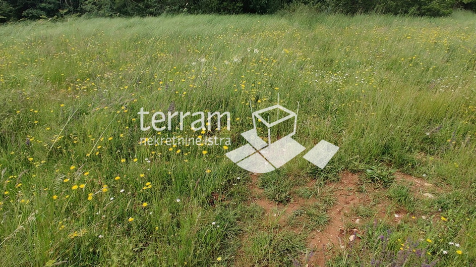 Istria, Barban, building plot 771m2, for sale