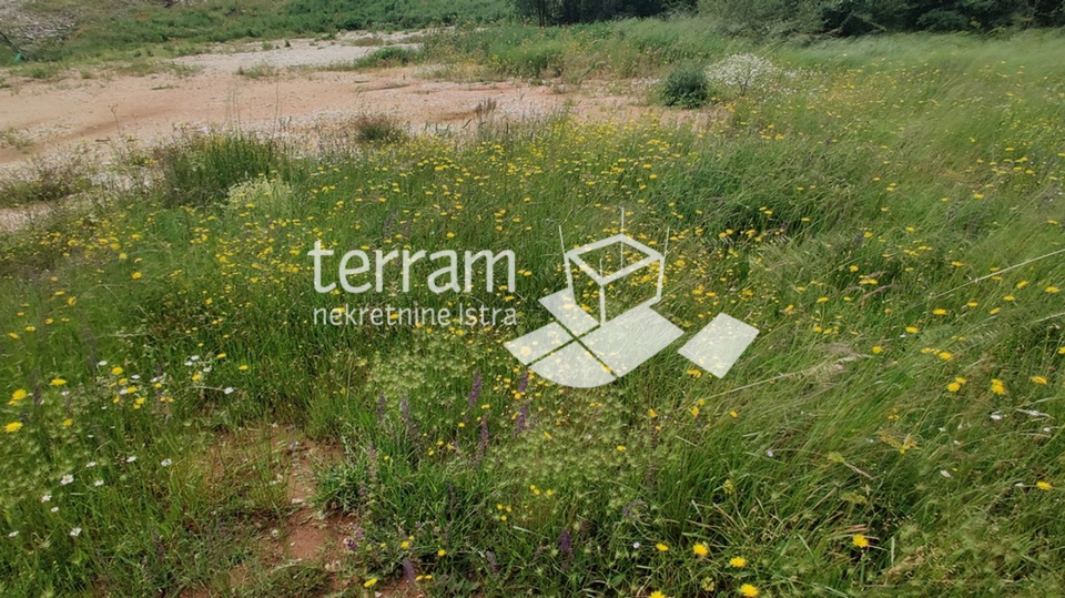 Istria, Barban, building plot 771m2, for sale