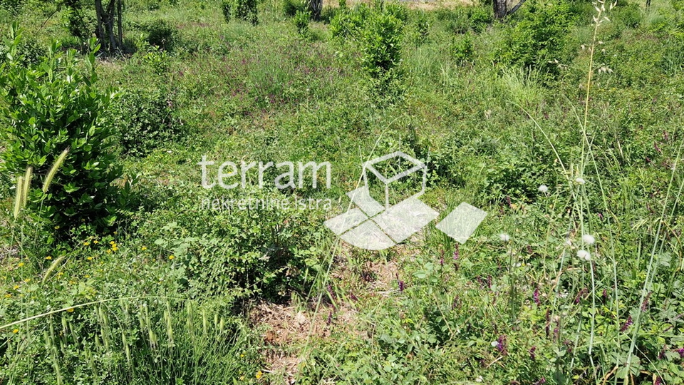 Istria, Medulin, building plot 687m2, #sale