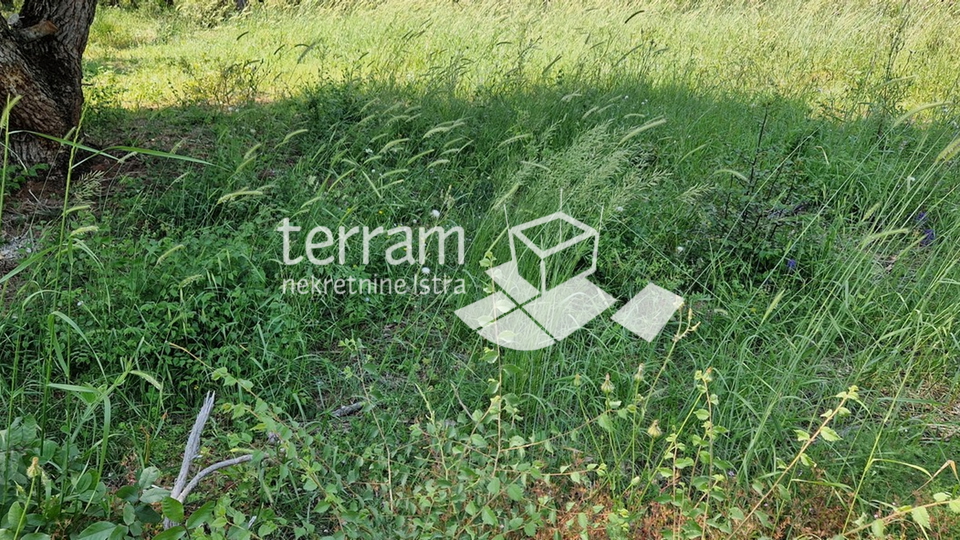 Istria, Medulin, building plot 1036m2, #sale