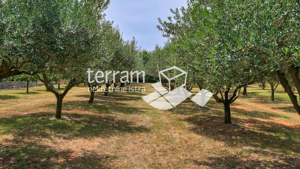 Istra&comma; Mar&ccaron;ana&comma; ku&cacute;a 42m2&comma; bazen&comma; oku&cacute;nica 1854m2&comma; NOVO&comma; &num;prodaja