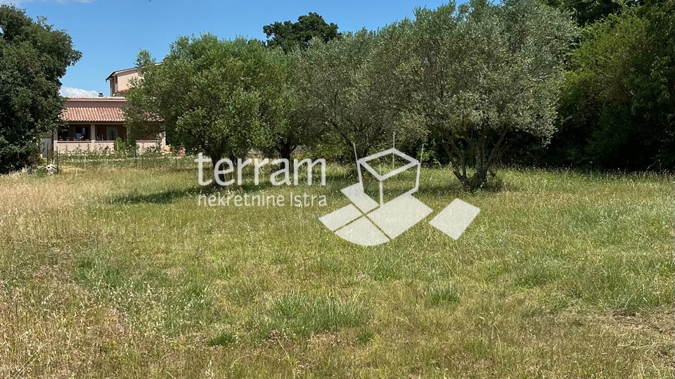 Istra&comma; Vodnjan&comma; Fondole&comma; agricultural land 1161m2&comma; &num;for sale