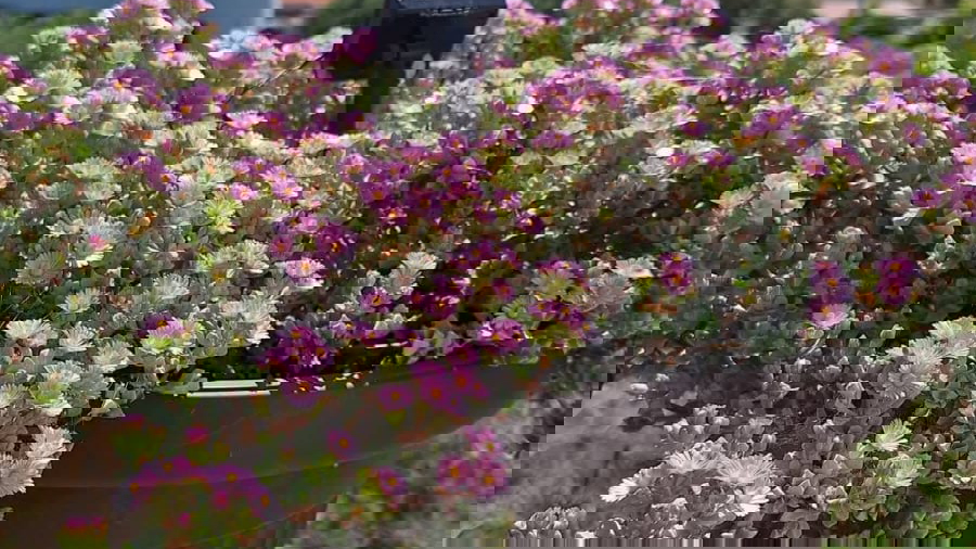 VODICE&comma; NOVO U NA&Scaron;OJ PONUDI&excl; STAN U PRIZEMLJU SA OTVORENIM POGLEDOM PREMA MORU