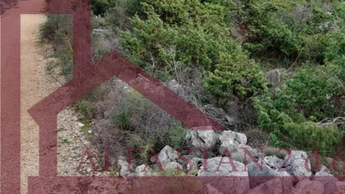 Grundst&uuml;ck&comma; 15994 m2&comma; Verkauf&comma; Primo&scaron;ten