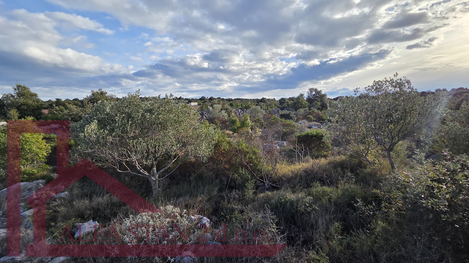 Grundst&uuml;ck&comma; 1929 m2&comma; Verkauf&comma; Marina - Sevid