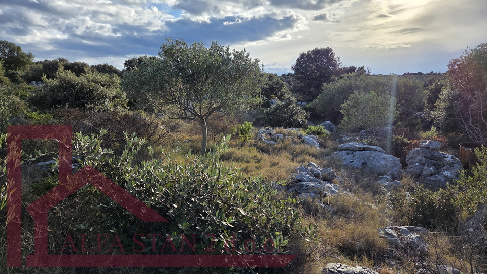 Grundst&uuml;ck&comma; 1929 m2&comma; Verkauf&comma; Marina - Sevid