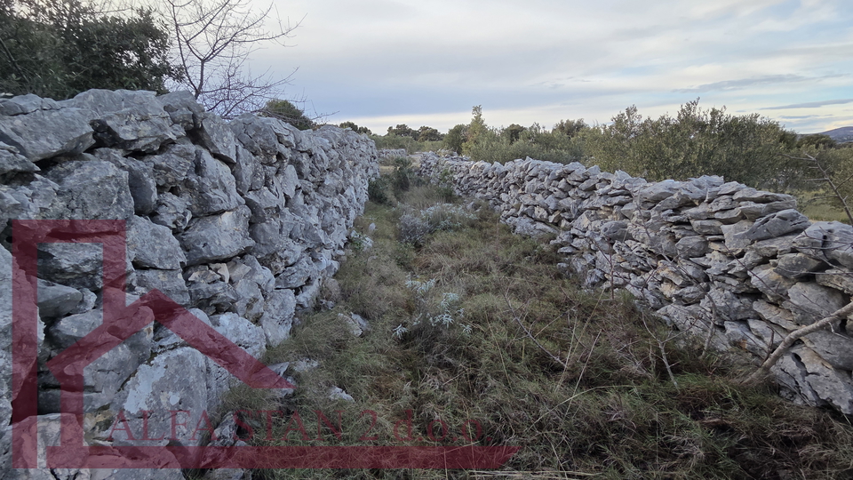 Grundst&uuml;ck&comma; 1929 m2&comma; Verkauf&comma; Marina - Sevid