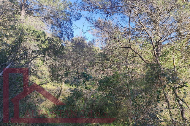 Baugrundstück, Mavarčica, 250 m bis zum Meer