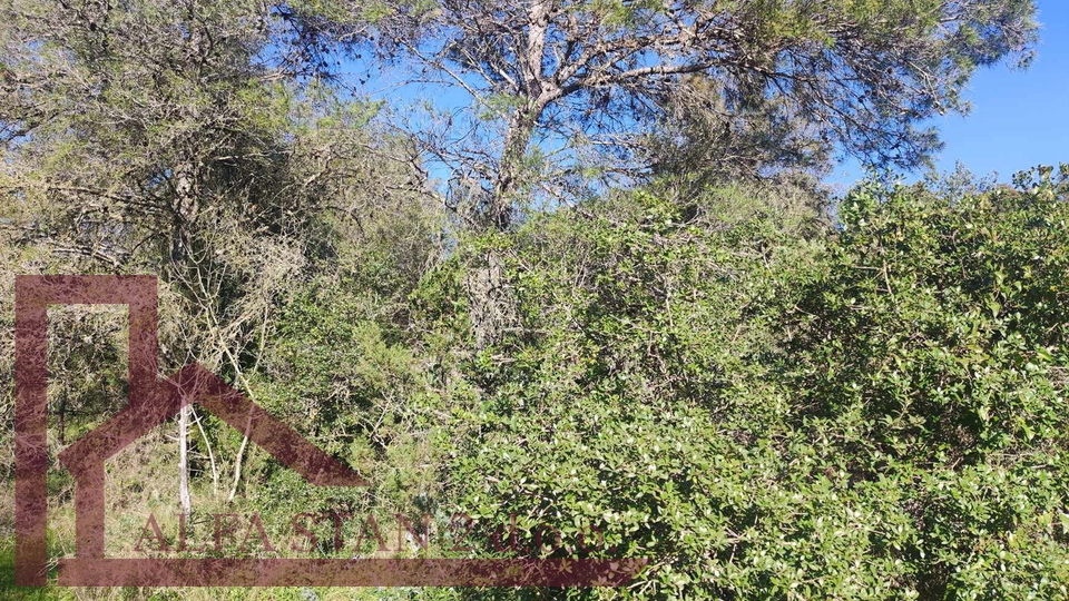 Gra&dstrok;evinsko zemlji&scaron;te&comma; Mavar&ccaron;ica&comma;250m do mora