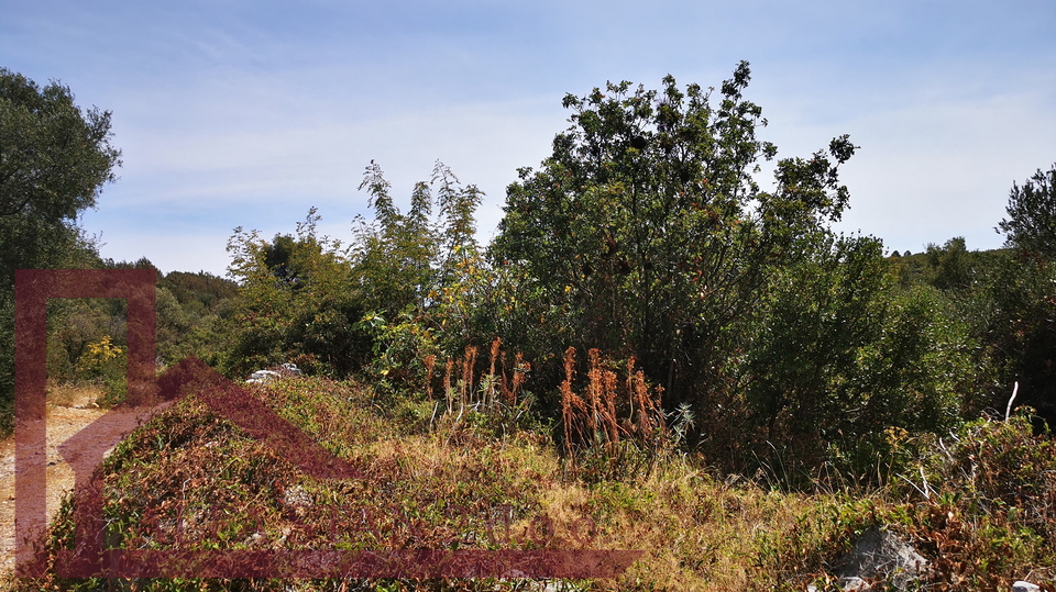 Land&comma; 878 m2&comma; For Sale&comma; Okrug - Okrug Donji