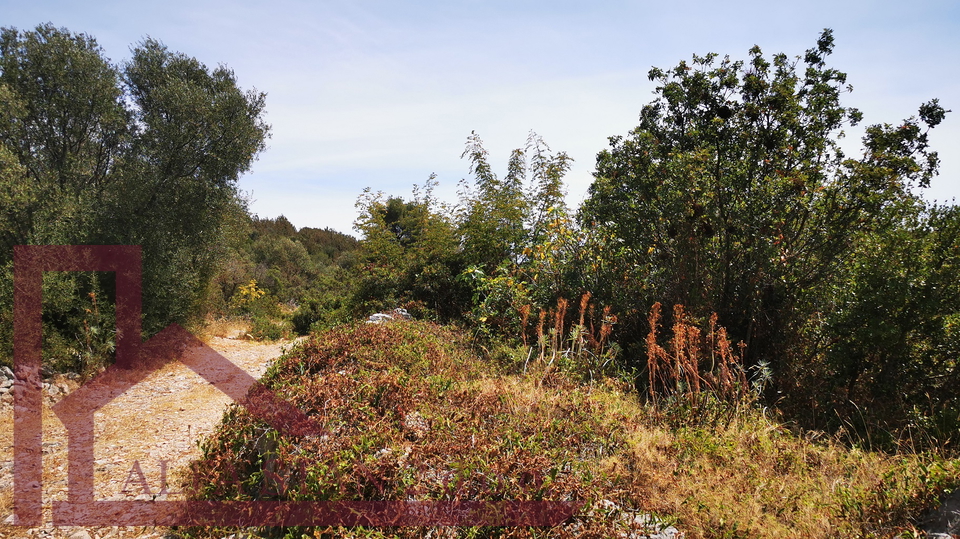 Land&comma; 878 m2&comma; For Sale&comma; Okrug - Okrug Donji