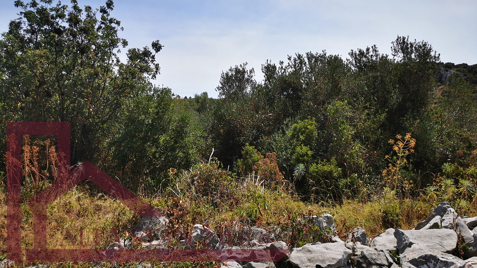 Land&comma; 878 m2&comma; For Sale&comma; Okrug - Okrug Donji