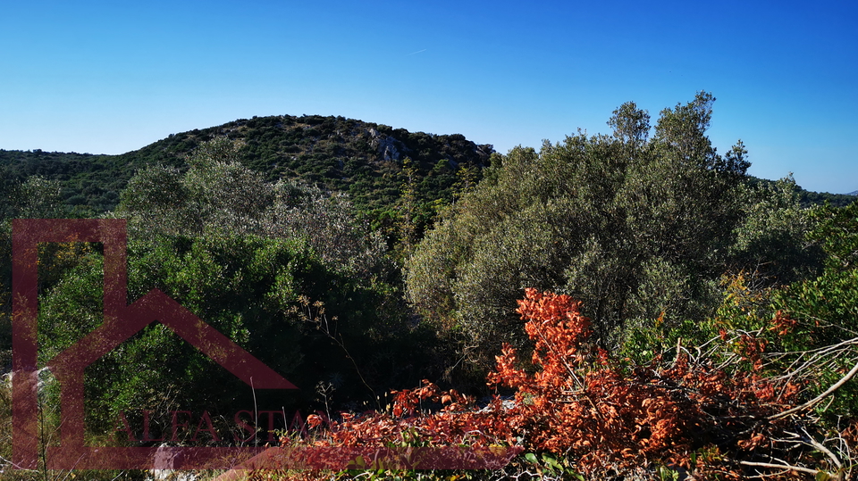 Land&comma; 878 m2&comma; For Sale&comma; Okrug - Okrug Donji