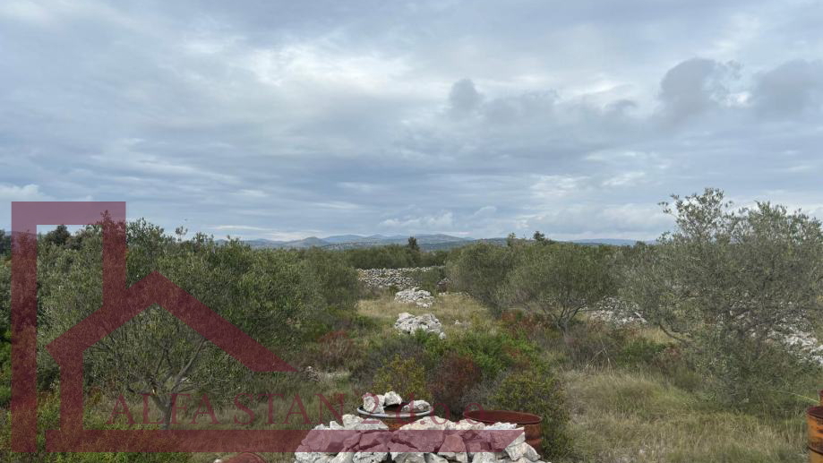 Land, 3269 m2, For Sale, Marina - Sevid