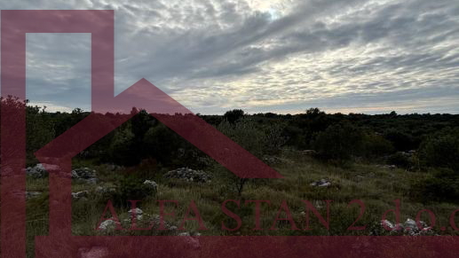 Land, 3269 m2, For Sale, Marina - Sevid