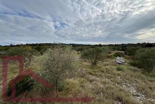 Land, 3269 m2, For Sale, Marina - Sevid