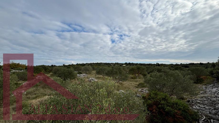 Land, 3269 m2, For Sale, Marina - Sevid