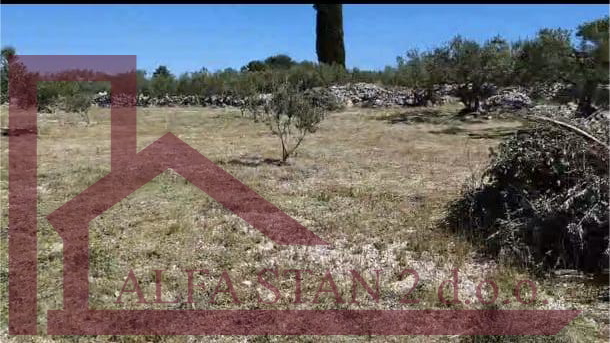 Terreno, 5200 m2, Vendita, Sutivan
