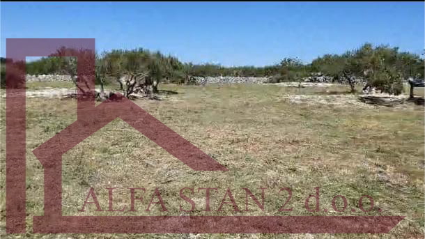 Terreno, 5200 m2, Vendita, Sutivan