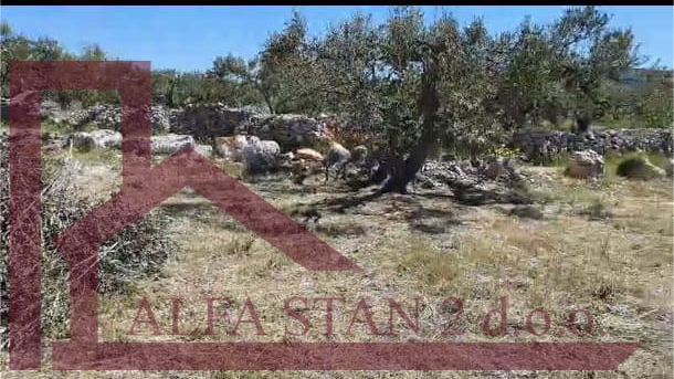 Terreno, 5200 m2, Vendita, Sutivan