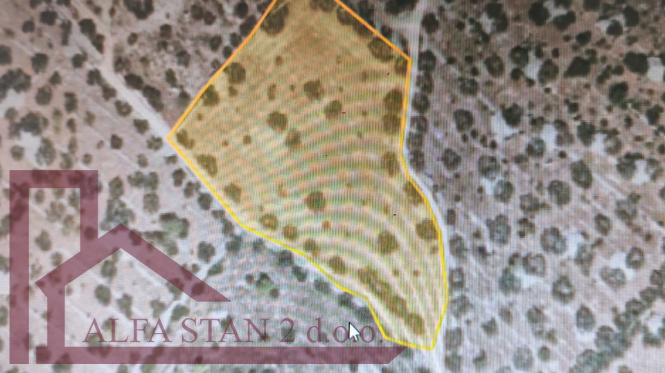 Terreno, 5200 m2, Vendita, Sutivan