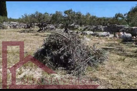 Poljoprivredno zemljište Sutivan
