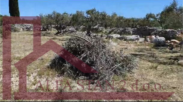 Terreno&comma; 5200 m2&comma; Vendita&comma; Sutivan