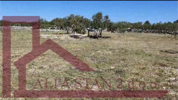 Terreno&comma; 5200 m2&comma; Vendita&comma; Sutivan