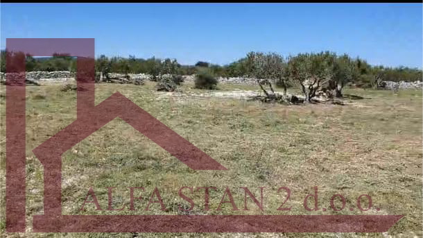 Terreno&comma; 5200 m2&comma; Vendita&comma; Sutivan