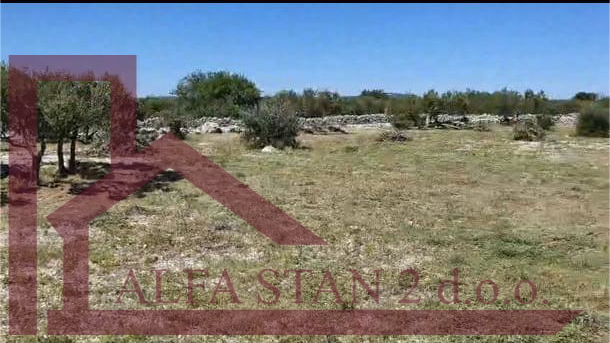 Terreno&comma; 5200 m2&comma; Vendita&comma; Sutivan