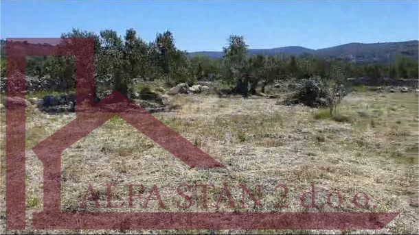 Terreno&comma; 5200 m2&comma; Vendita&comma; Sutivan