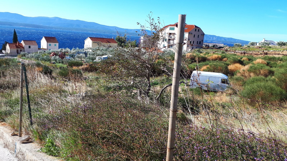 Dvije građevinske parcele  u Bolu