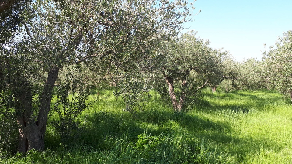 Građevinsko zemljište u Mircima (zona T2)